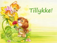 Tillykkekort